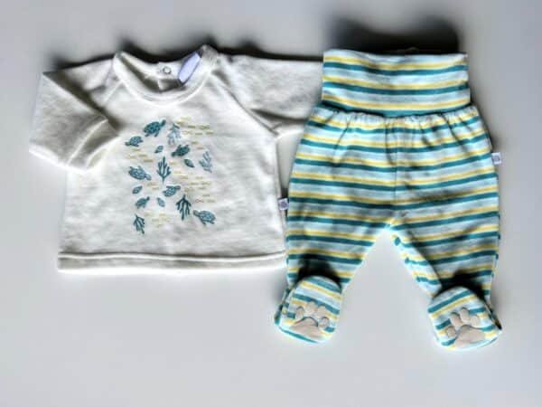 Conjunto plush tortugas